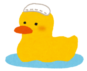 furo_ducky
